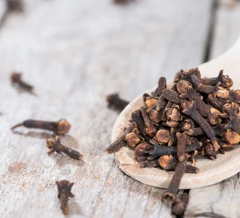 Whole cloves on a wooden spoon for making clove water